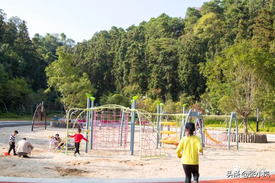 藏在韶关市中心森林里的儿童公园，大部分人都不知道，光速安排
