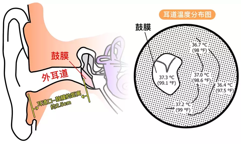 杭州魏老爸实测7款体温计,比较准的只有这2款!