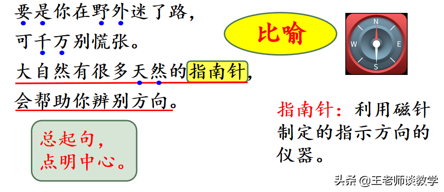 如果你在野外迷了路(二年级语文下册《要是你在野外迷了路》学案 练习题，快收藏吧！)