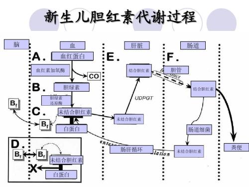 宝宝黄疸这怎么办？蓝光、茵栀黄、益生菌、药浴..哪个更靠谱？