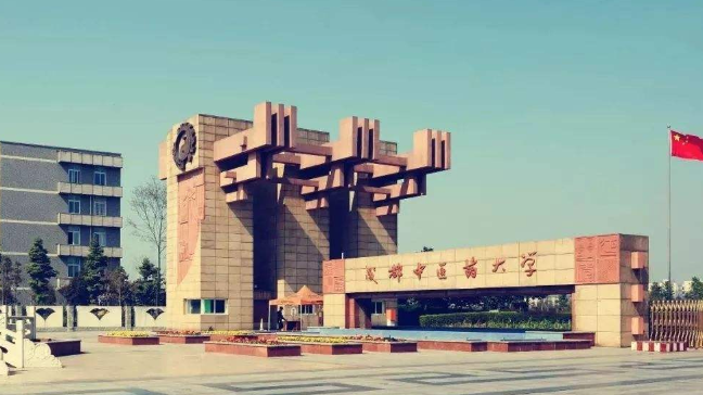 成都市金牛区高校信息来啦