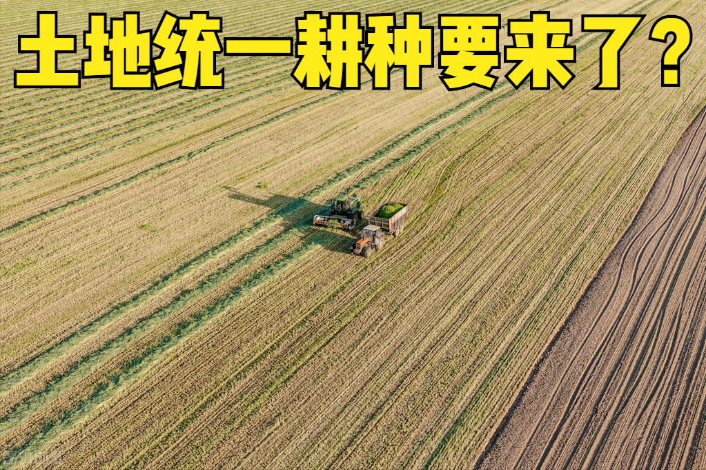 中国把农村人集中起来，土地集中发展农场，再扩大内需是否可行？ 5
