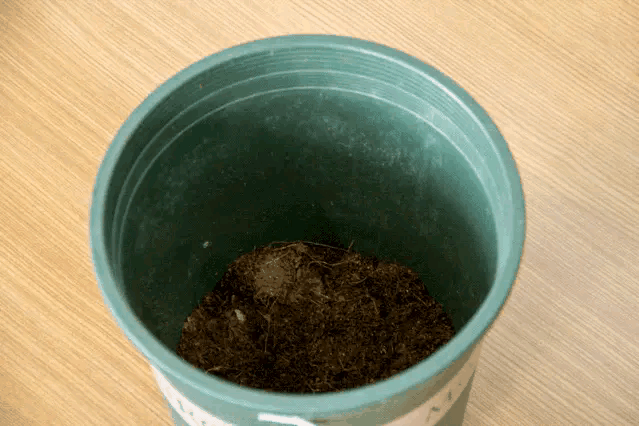 用这16种可以利用的厨余垃圾，家庭简易堆肥造出肥沃疏松的土壤