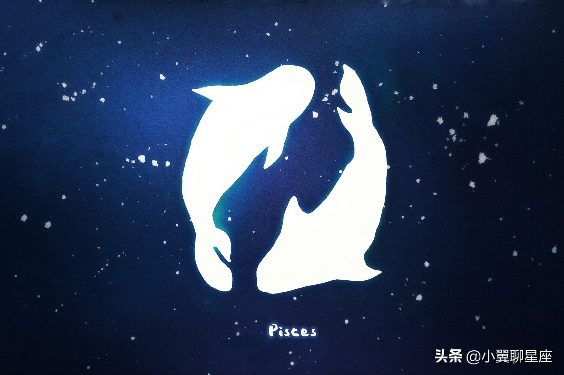 十二月星座运程之双鱼座,万事重新开始,幸福就在身边