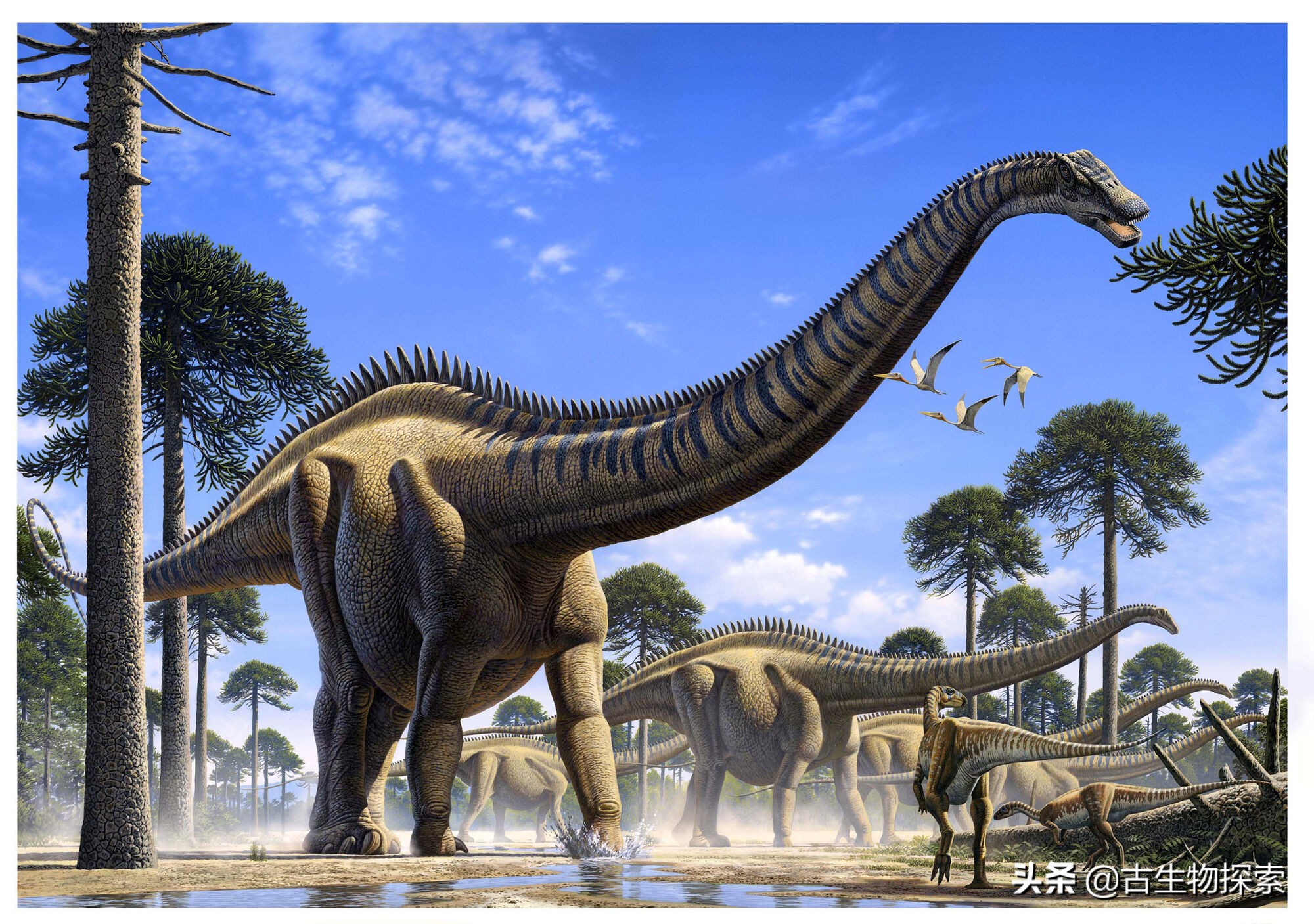 最大的恐龙前十名图片