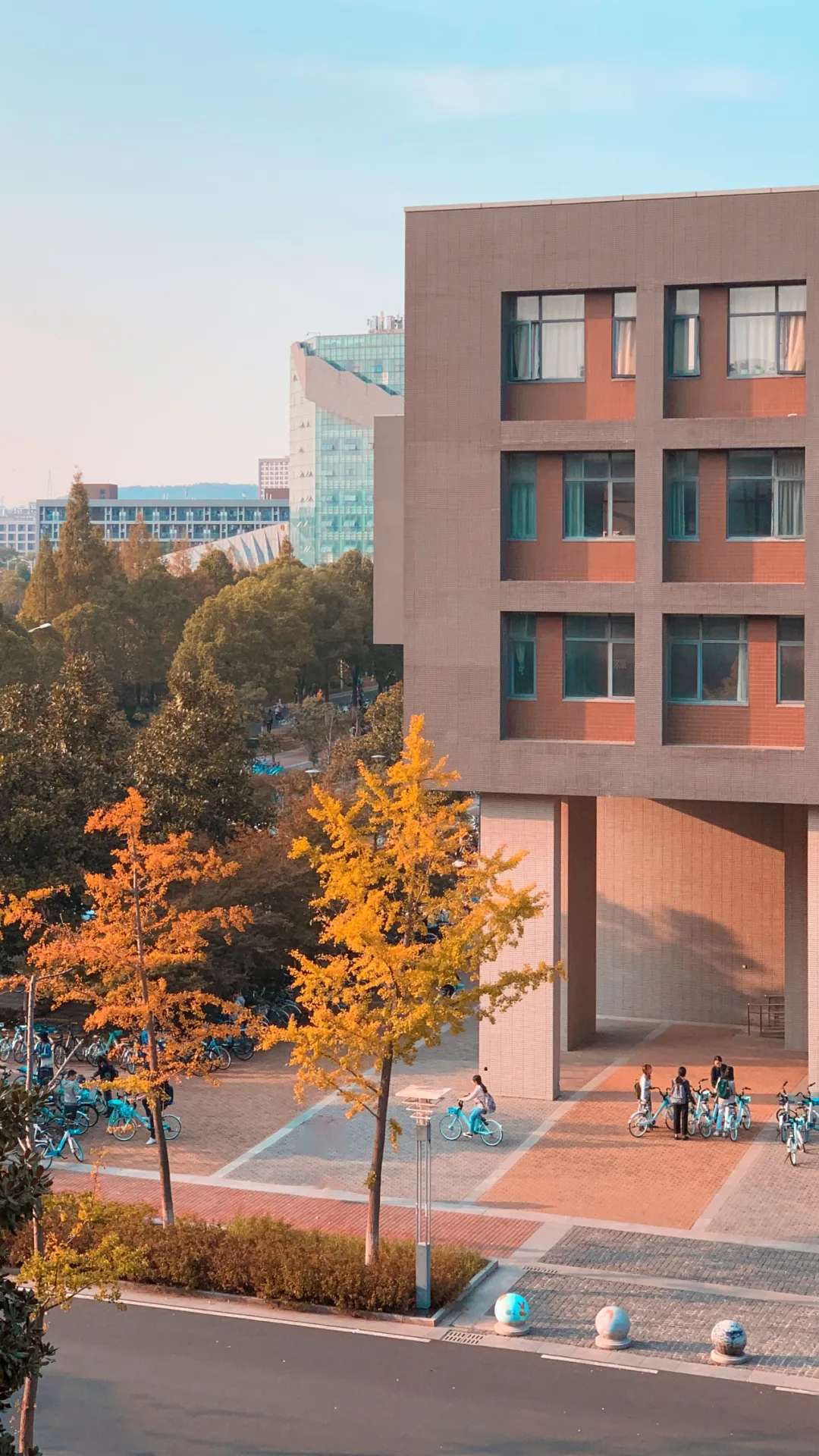 “你为什么非要去上那个南大啊！”“那可是南京大学啊！”