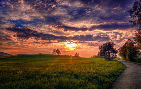 高考作文精彩开头和结尾50例精选，快来学习一下