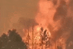 乘客您好，您乘坐的G2020次列车即将到站…