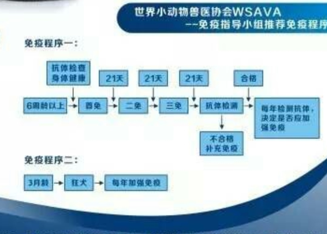 狗狗打疫苗前、后宠物医院推荐的犬抗体检测，到底该不该做？