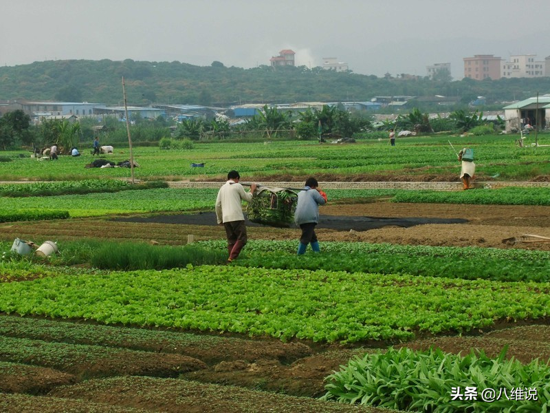有一种力量，改变底层孩子的命运