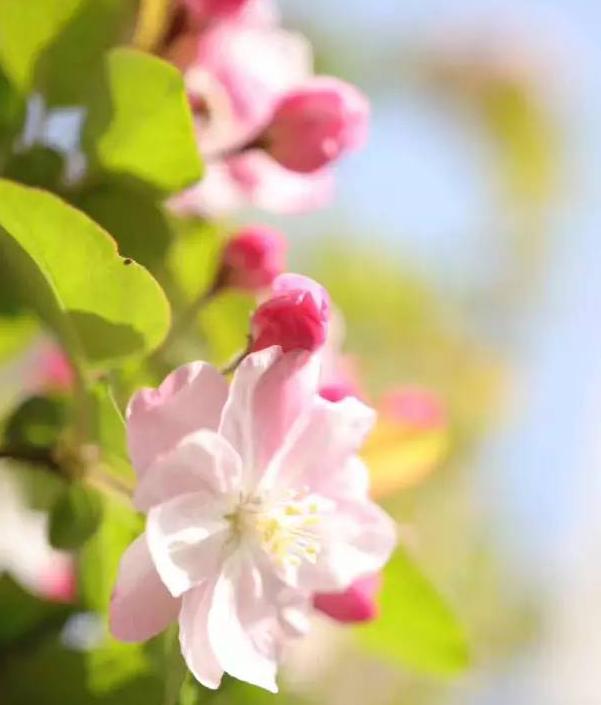 北京科技大学 理工 2016-2018录取分数线