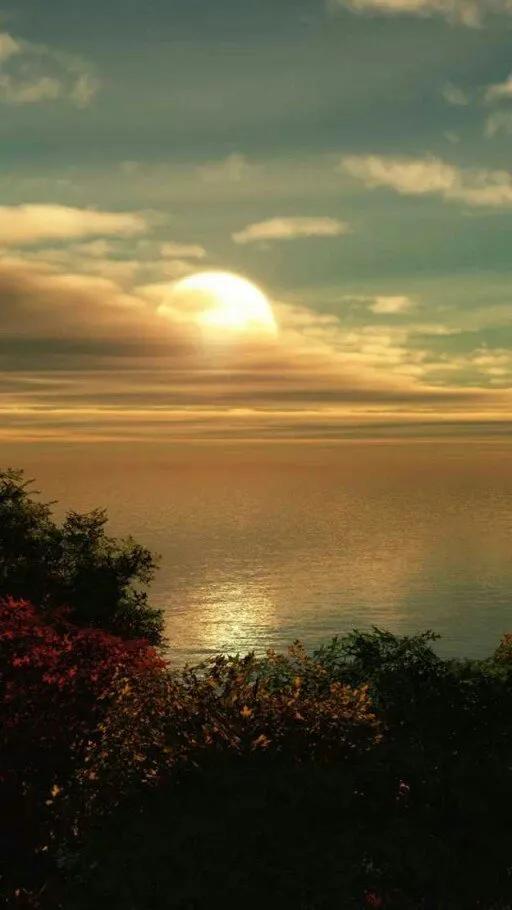 妈妈，我们总是把你藏在你的心里。