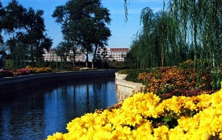 录取分数不高的师范学院，中等生可以捡漏，毕业就有好出路