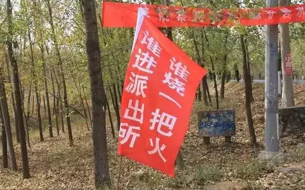 “谁在地里点火，谁家媳妇归我！”——这些禁烧标语，你见过吗？