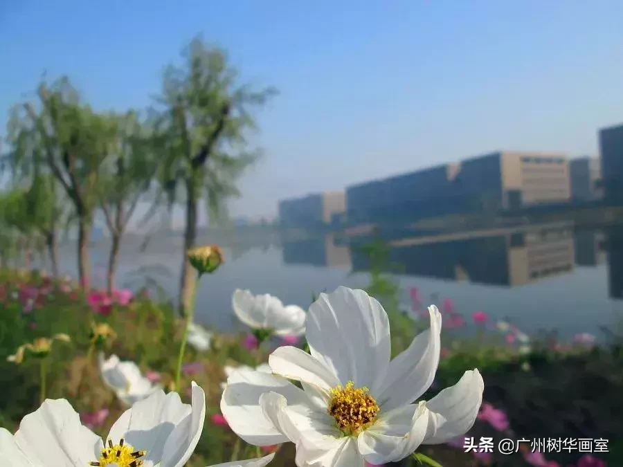 值得美术生报考的22所工业类大学，是设计专业最佳选择之一