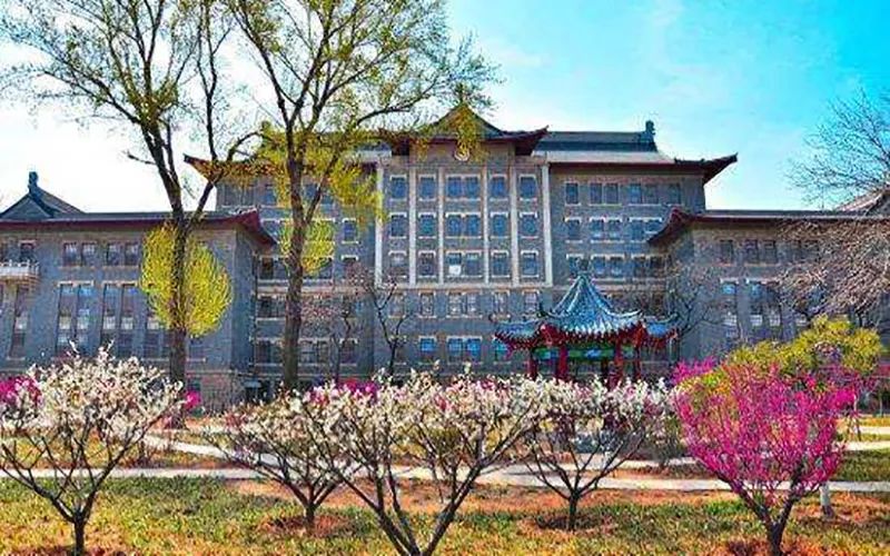 山东大学： 近三年录取分数统计分析，附2019年专业录取分数