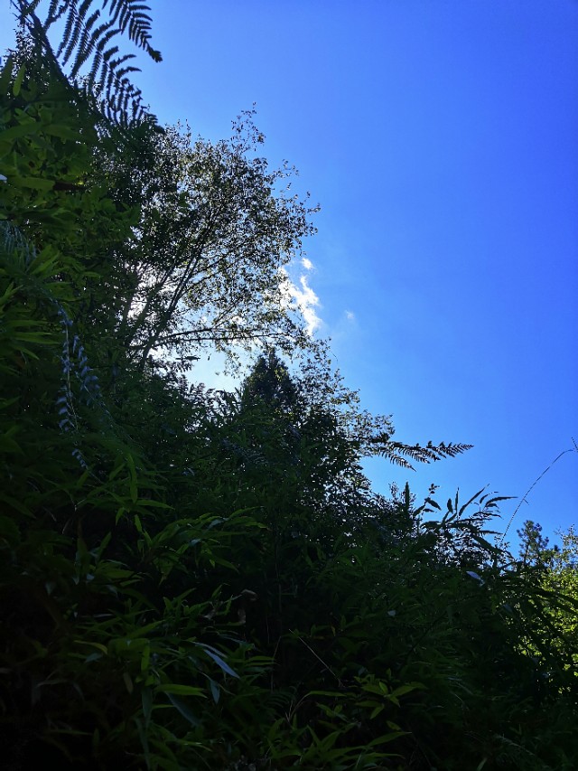 恩施历史上第一个状元——詹邈