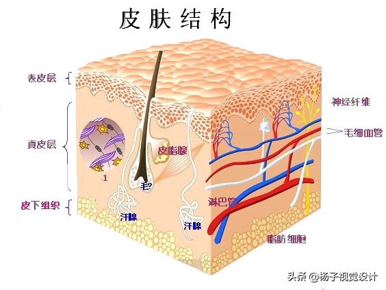 牙膏可以洗脸吗？牙膏洗脸好吗？洗脸的正确方法？