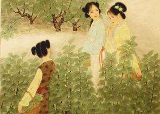 “关关雎鸠，在河之洲”：《诗经》第一篇，乐而不淫，哀而不伤