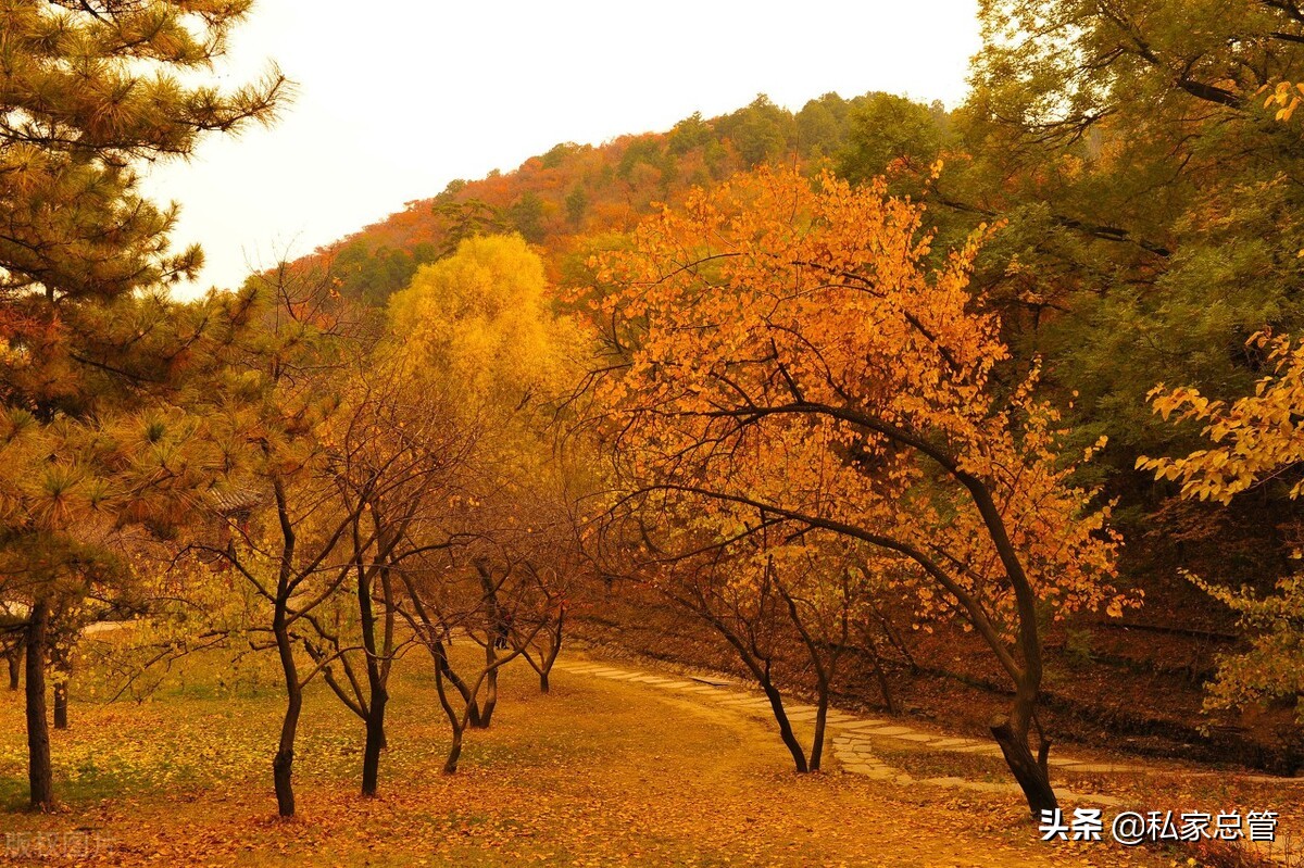 人生的出场顺序很重要，不是你不够好