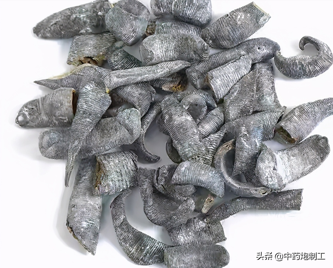 烫骨碎补是什么东西（中草药的烫法教程分享）