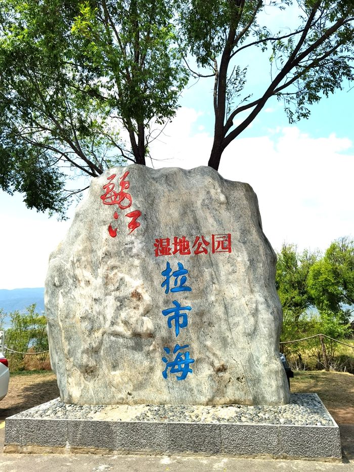 丽江拉市海，骑马走茶马古道，赏鸟走观湖长廊