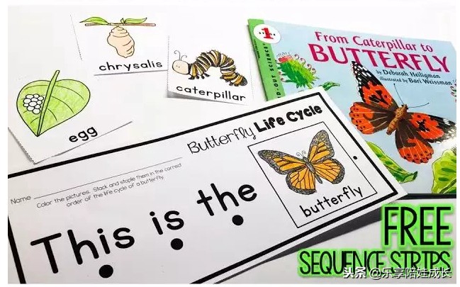 绘本磨耳朵：I'm a Caterpillar 中文《我是一条毛毛虫》！