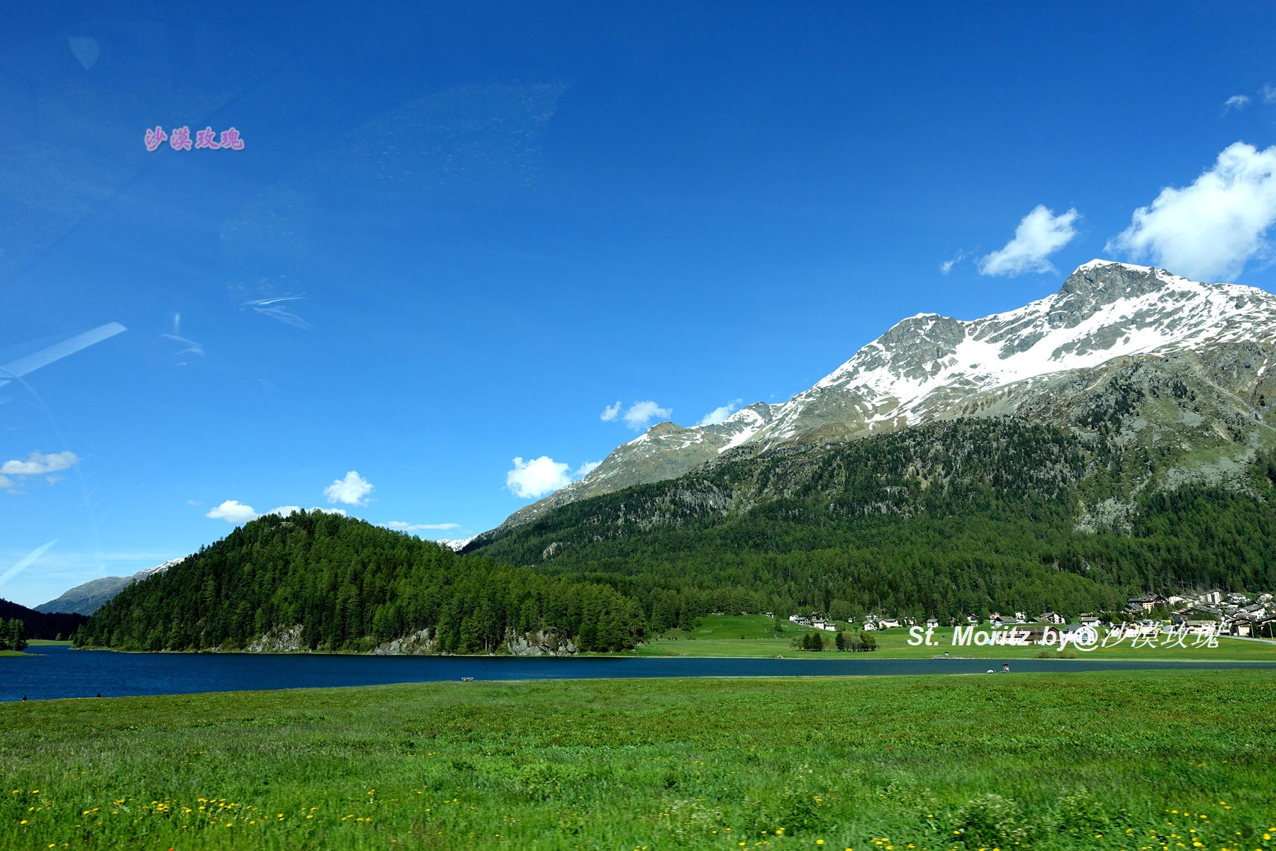 两届以上奥运会都有哪些城市(冬季冰雪运动旅游的发源地，成功举办了两次冬奥会)