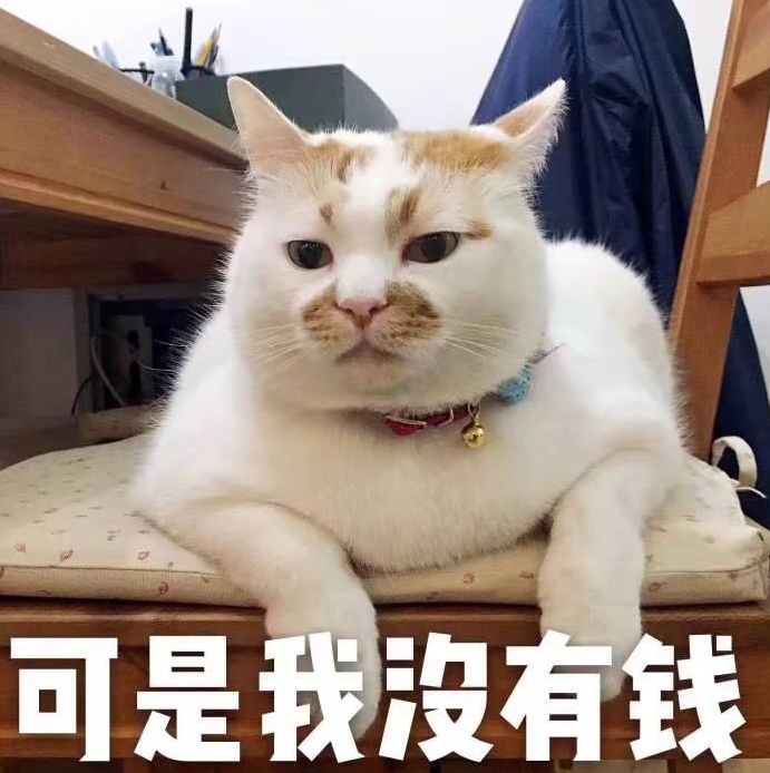 养猫成为新的炫富方式？算算你家猫一个月要花多少钱