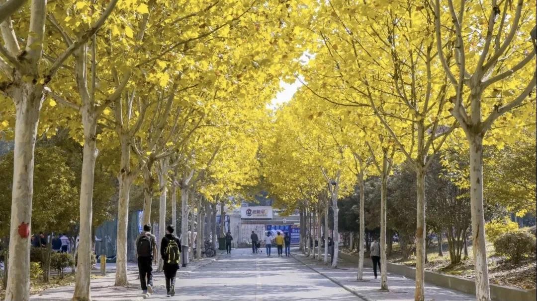 湖北女学霸：连续3年全班第一，一作发表核心期刊,升学“双一流”