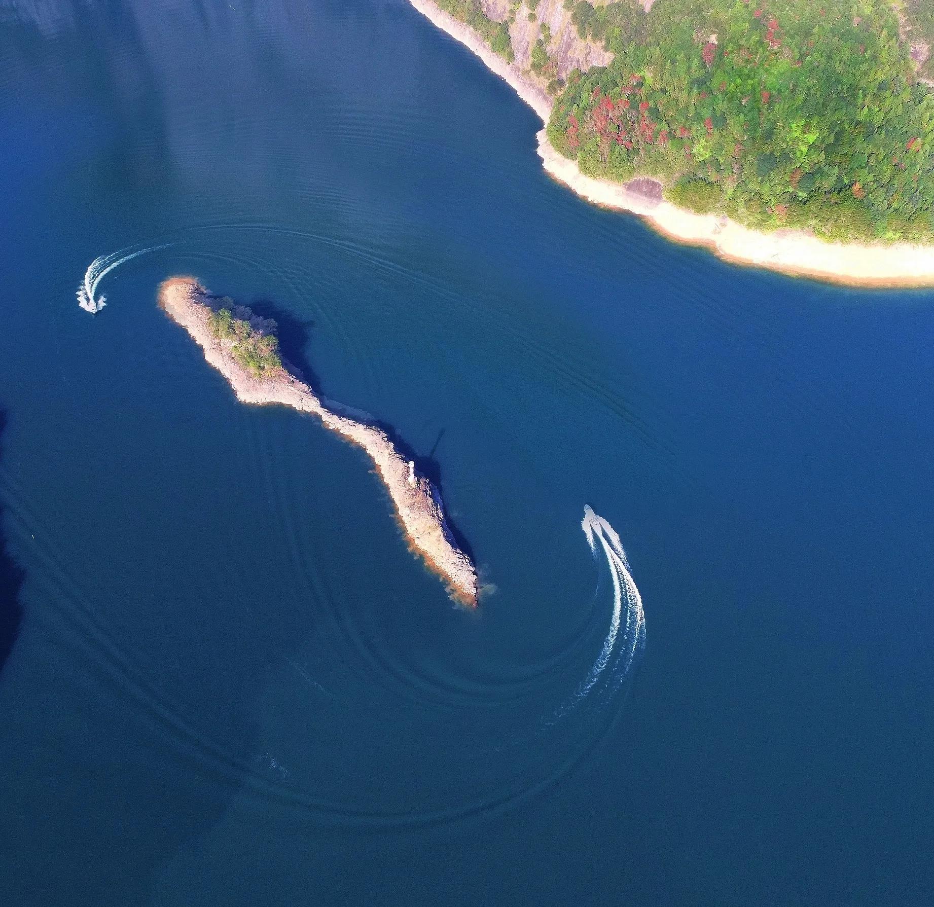 每日一诗《凉州词》赏析