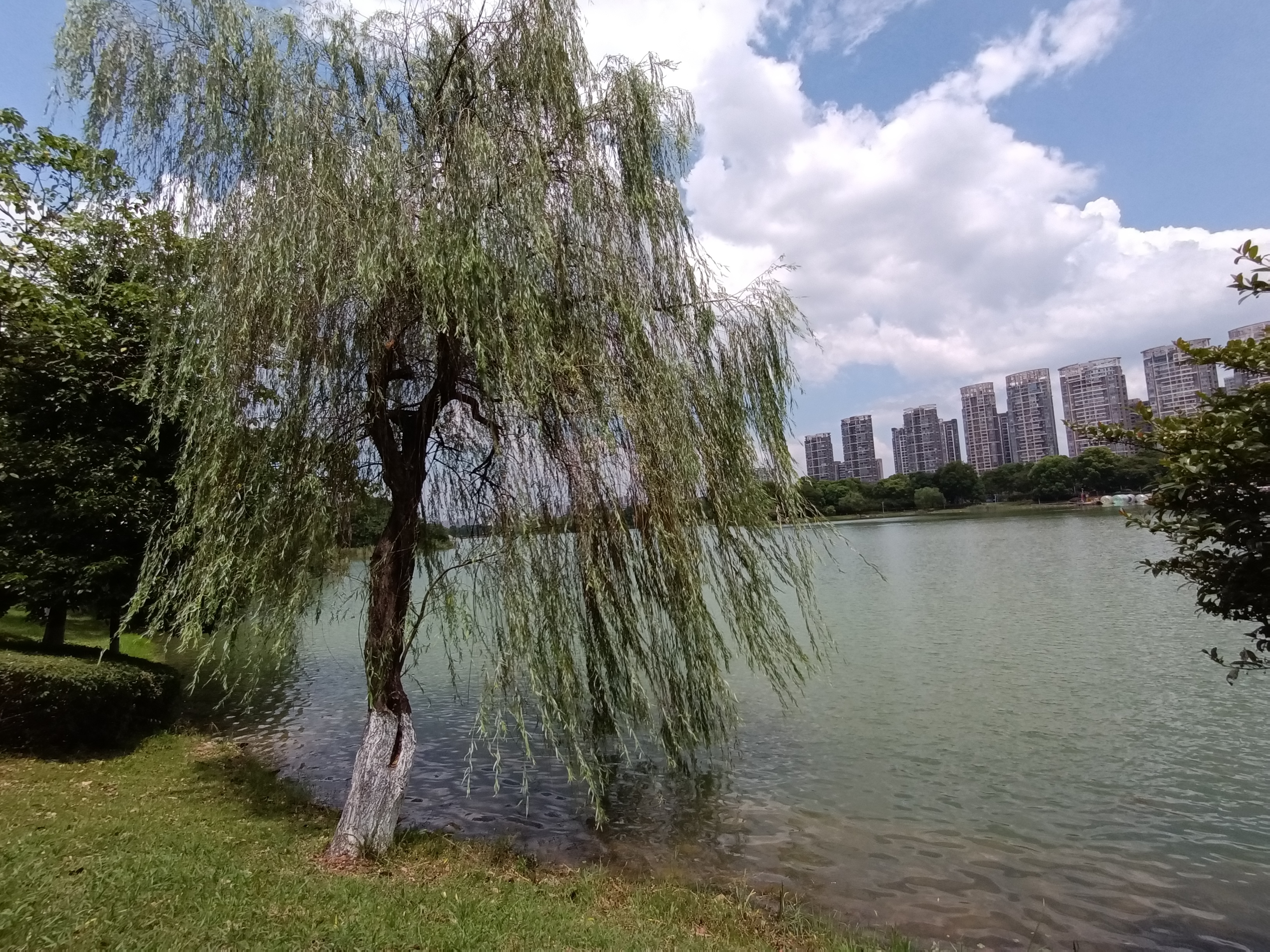 长沙月湖公园有什么好玩的长沙月湖公园全景图简介