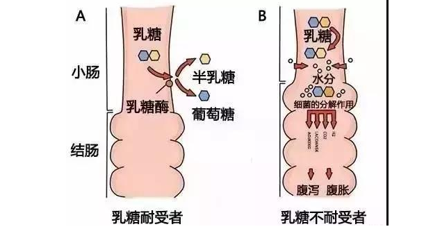 宝妈别再纠结羊奶粉还是牛奶粉了，宝宝有这些情况，建议喝羊奶粉