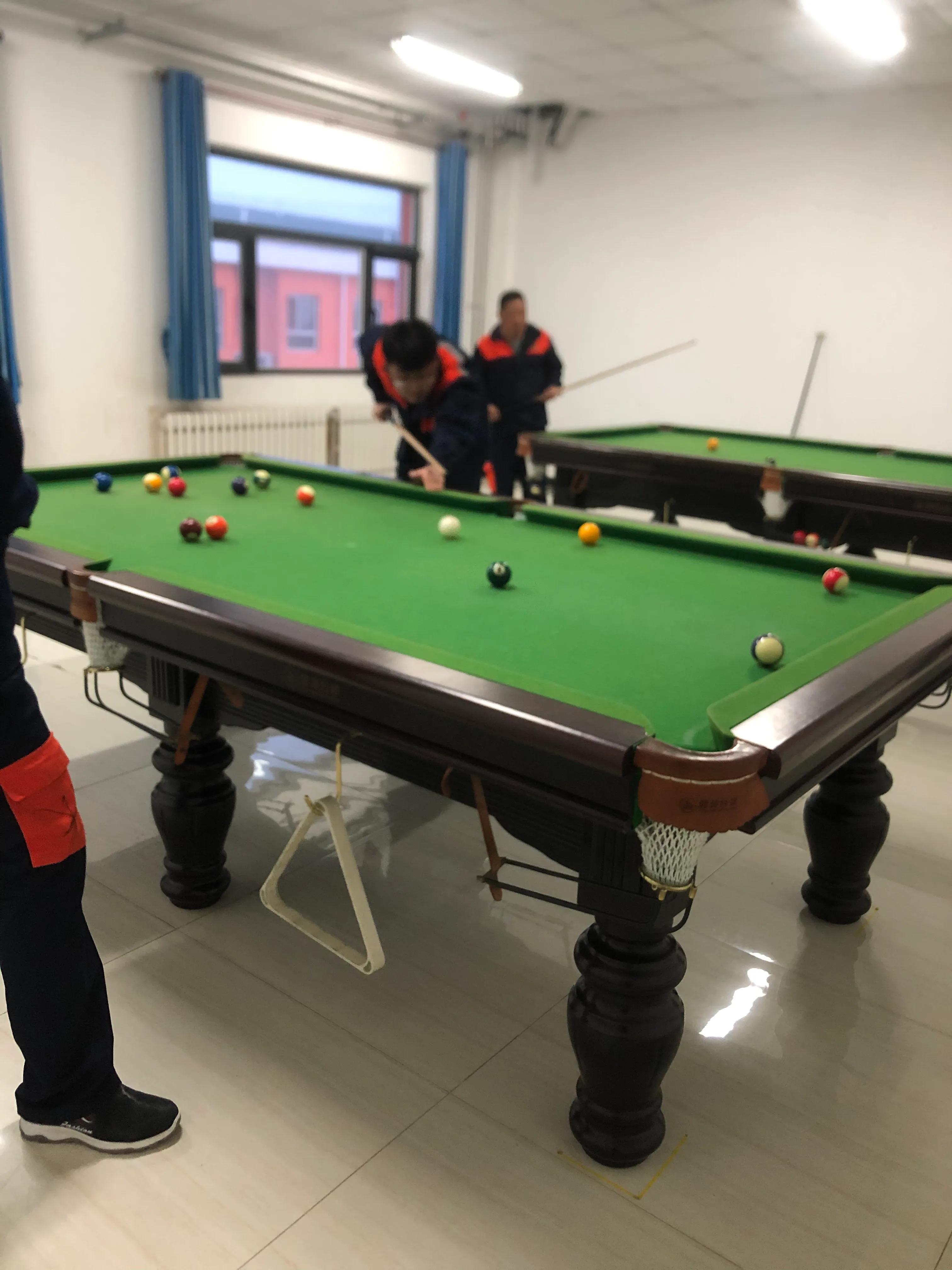 大学生养猪，谈谈真实感受