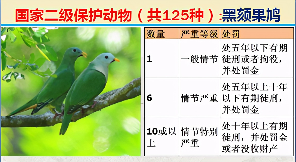 二级保护动物（国家最新125类二级野生保护名录）