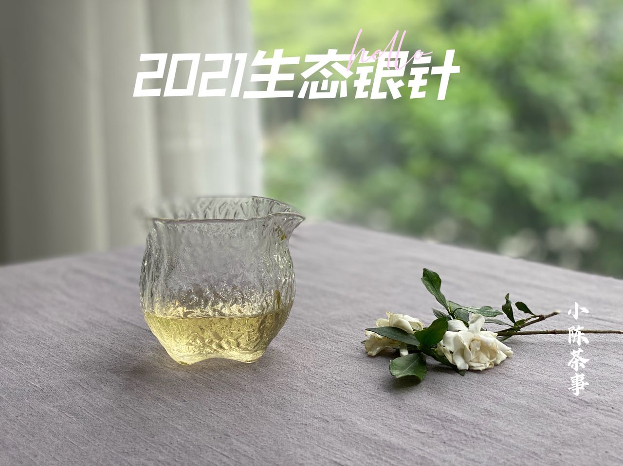 洗茶、闷泡、悬壶高冲，看过5点细节，带你告别错误的白茶冲泡法