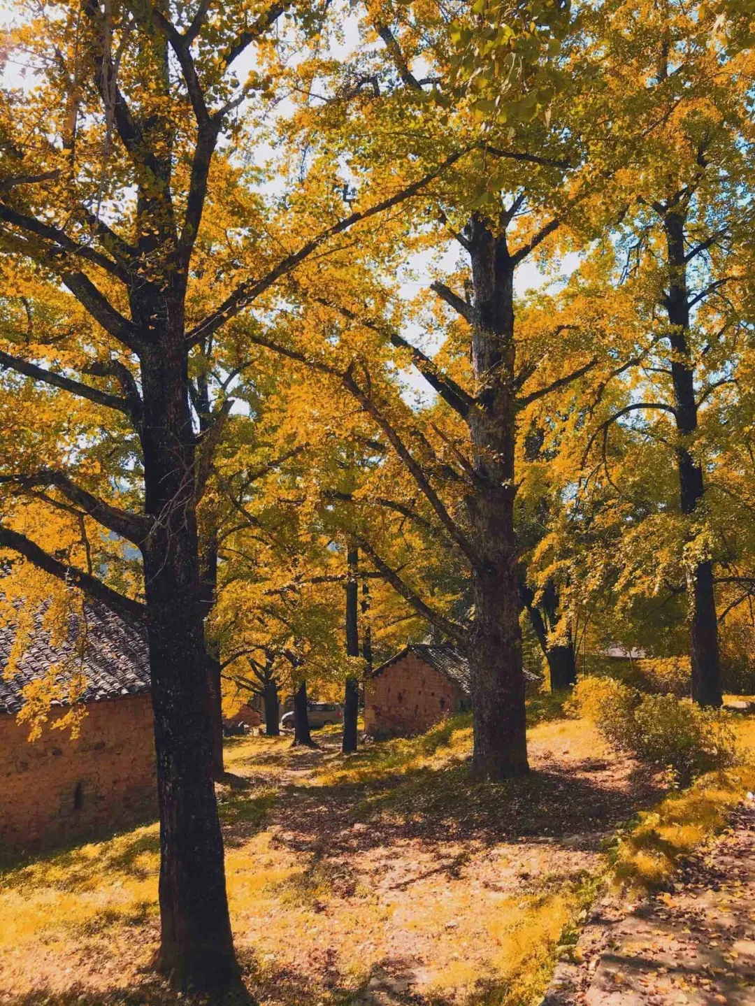 什么？你说头条创作，没有素材可写？教你3招，素材随你挑选