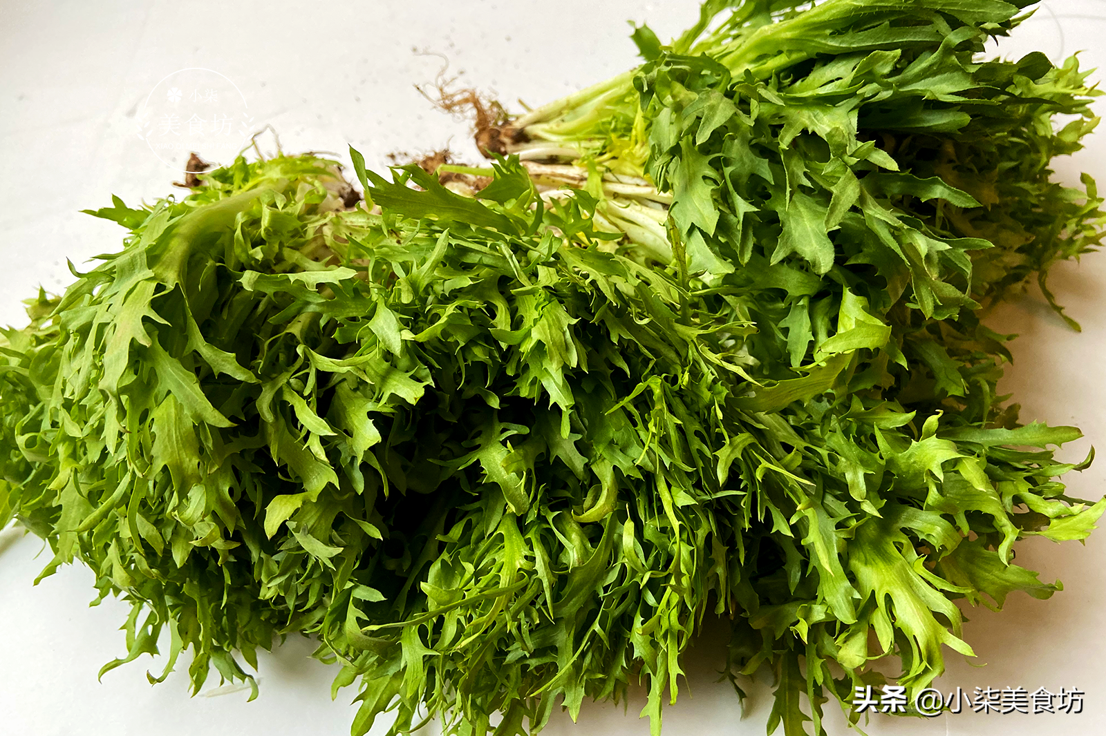 自从苦菊学会这样做，我家隔三差五就吃，营养减肥菜，做法超简单