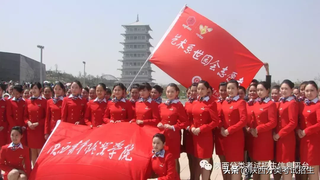 【国家公办】陕西青年职业学院2019年分类考试招生简章及院校介绍