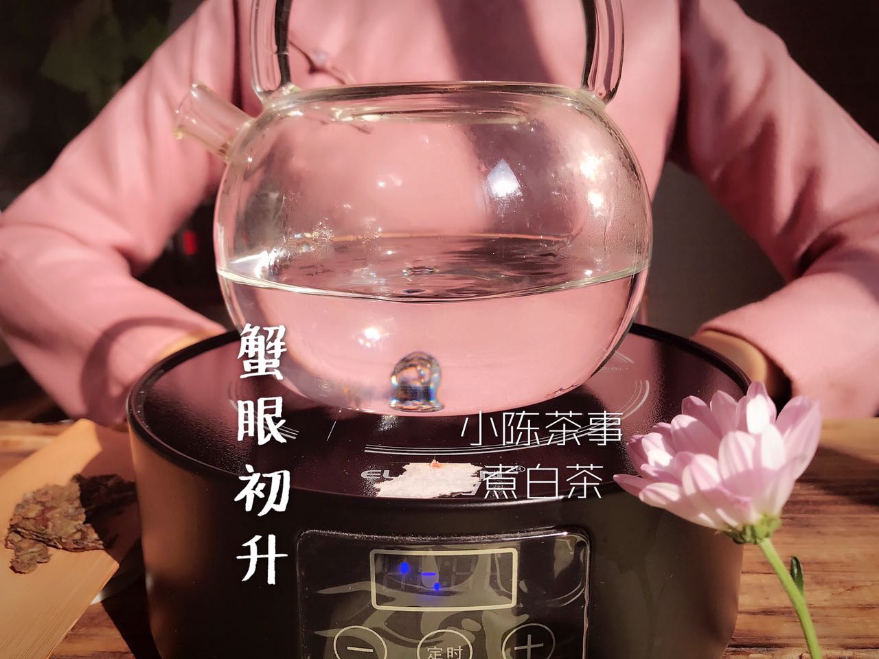 煮茶工具不会挑？养生壶、玻璃壶、粗陶壶，哪个是煮茶的一把好手