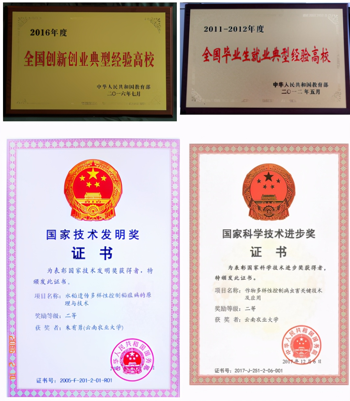 国家级一流！厉害了我的云南农大