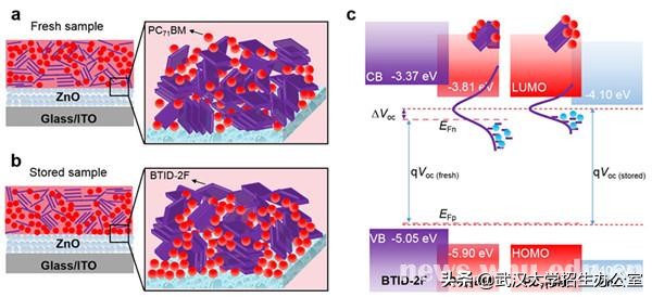 科研新进展！近期，武汉大学10项科研成果登上国际权威期刊