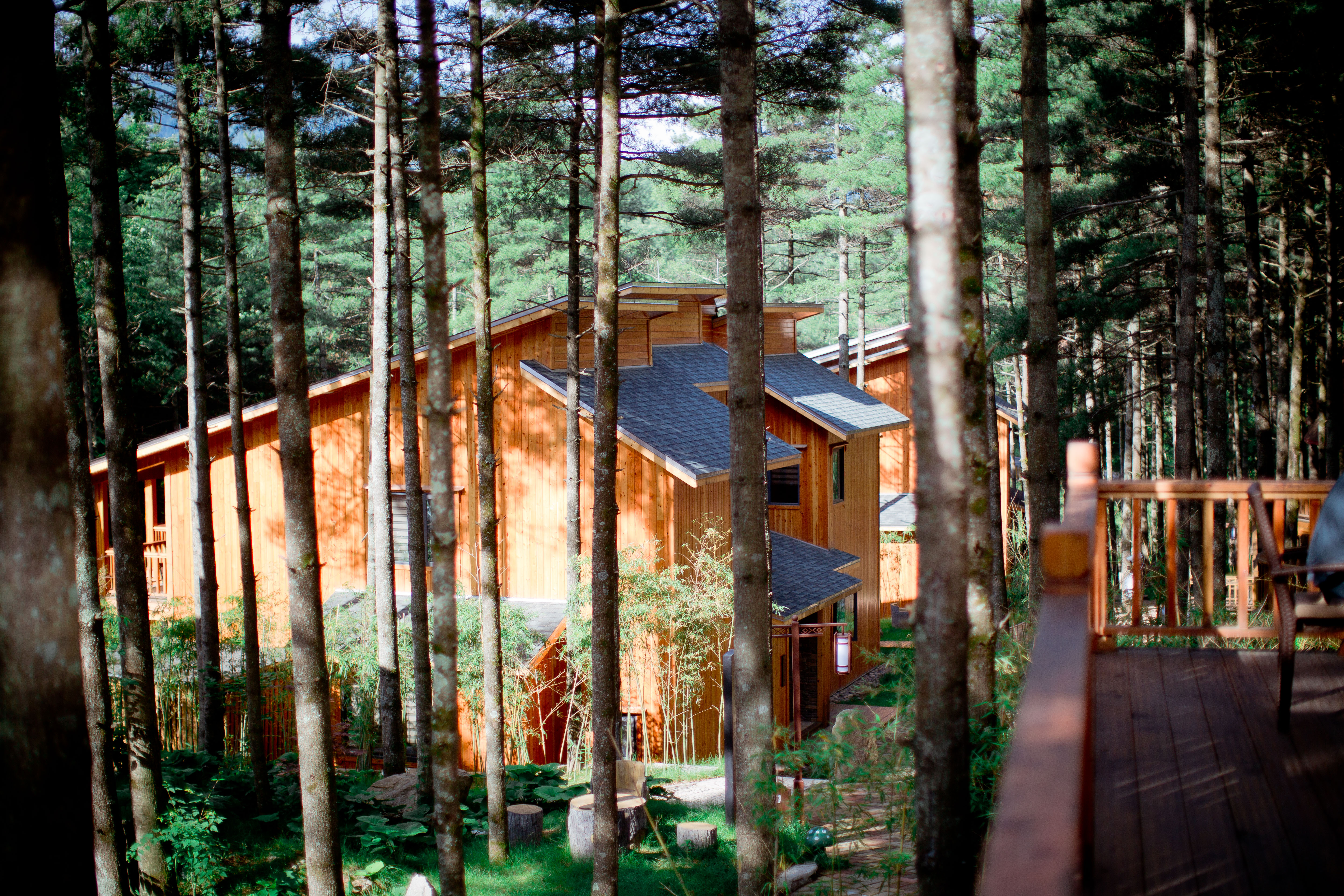 嵩县·白云山森林木屋度假酒店