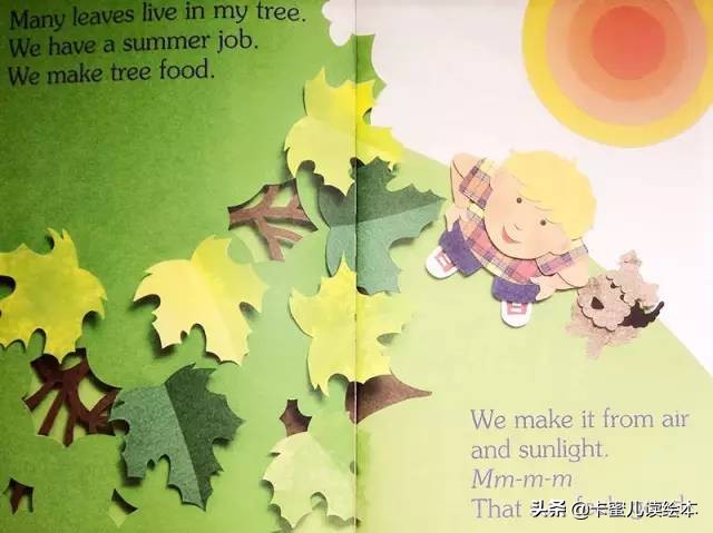 leaf怎么读(英文有声绘本) - seo葵花宝典