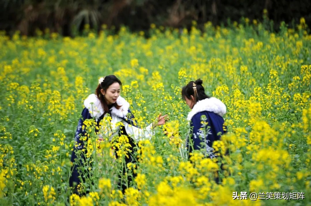 诗情桃花源 | 此生，只为你盛开这朵桃