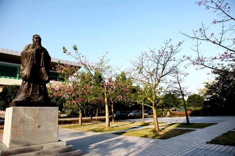 2020年广东3+证书最低录取155分，清远职业技术学院介绍