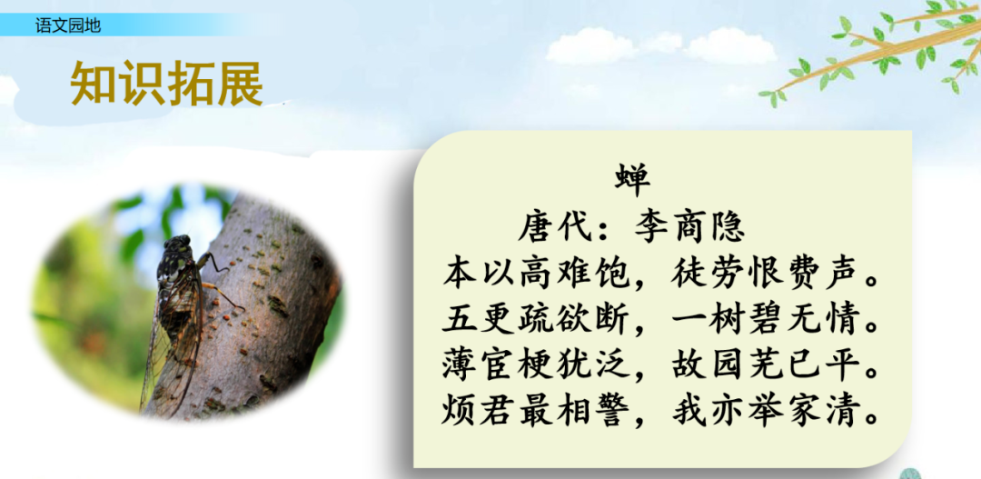 部编语文五年级上册《语文园地一》知识点+图文解读+课堂练习