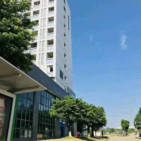高职高考必看｜全面了解广东环境保护工程职业学院
