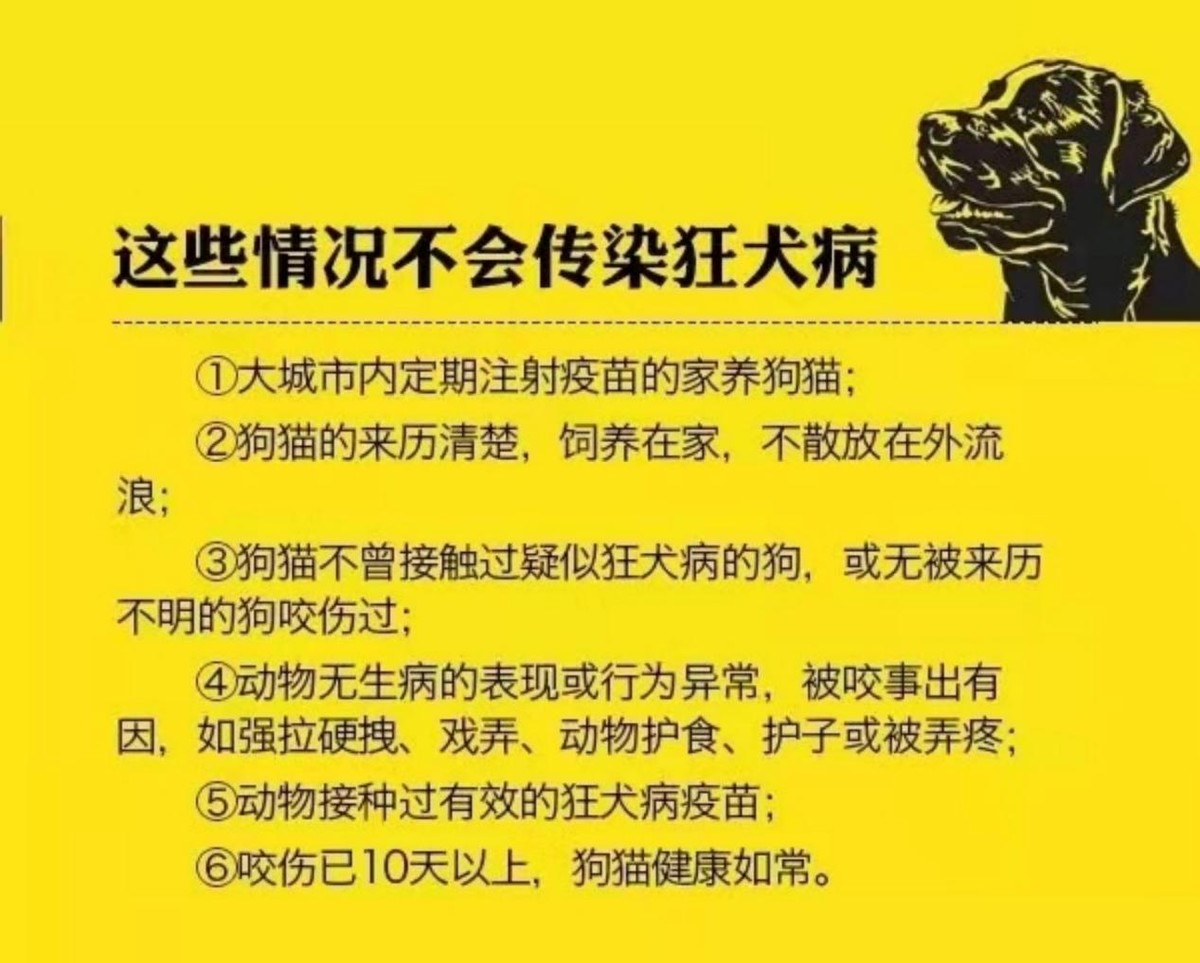 中国花100亿防疫狂犬病，代价第一却无用，而日本在60年前已消除