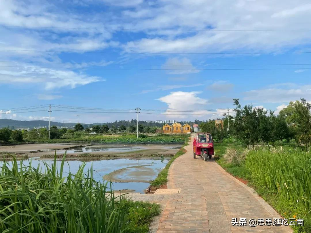 云南建水,藏在巷巷里的秘密花园,这些小店才是yyds